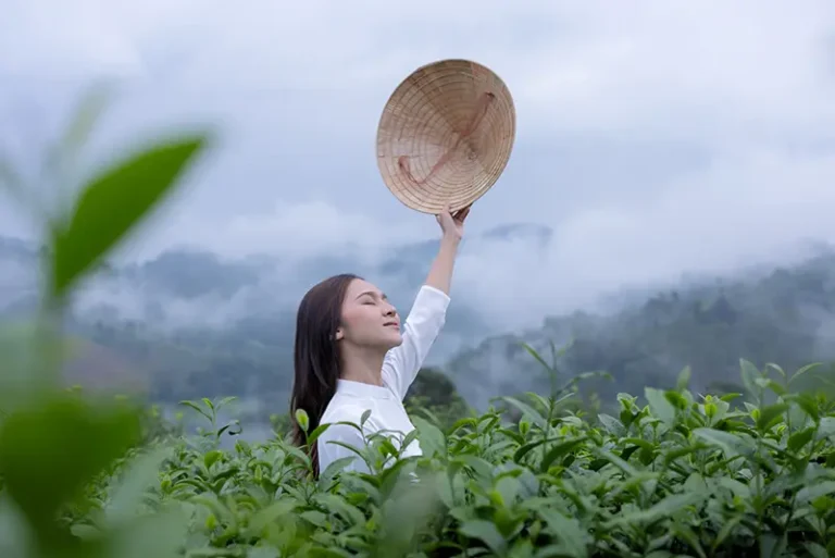 asian-woman-wearing-vietnam-culture-traditional-in-2024-12-07-15-24-02-utc