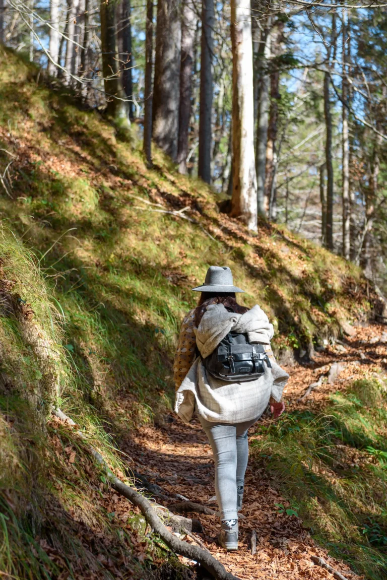 rear-view-of-girl-wearing-backpack-hiking-in-fore-2025-02-02-20-22-56-utc